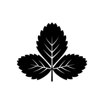 A black silhouette of a three-part leaf with jagged edges and veining vector