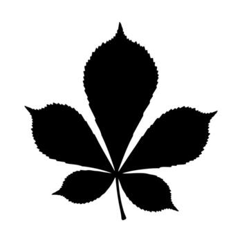 Silhouette of a multi-lobed leaf with jagged edges and a central stem, set against a white backdrop vector
