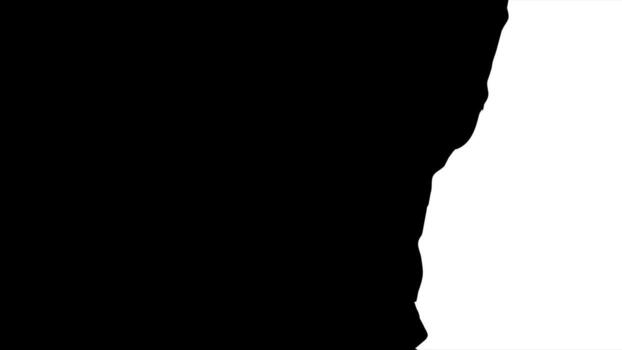 negro papel cortar antecedentes con un vertical Rasgado borde en el bien. rasgado papel efecto con un ondulado, áspero borde. modelo con blanco Copiar espacio. vector