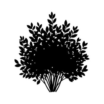 Silhouette of a dense shrub with leaves and branches, rendered in black on a white background vector