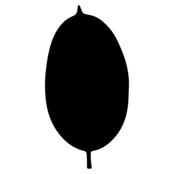 Solid black abstract shape on white. Smooth curves, with a small point on top and stem on bottom vector