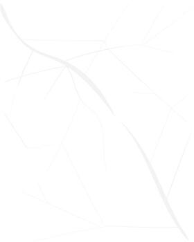 blanco resumen papel antecedentes con suave textura, Perfecto para limpiar minimalista y moderno diseño disposición. vector