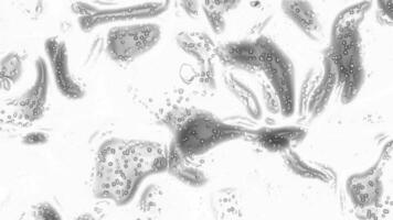 abstrakt svart och vit textur av virvlande bubblor. bra för bakgrunder, grafik, digital konst, och design projekt behöver ett konstnärlig och modern Rör. video