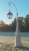 sömlös slinga årgång gata lampa stående i en frostig parkera med höst träd i de bakgrund video