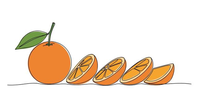 A whole orange next to a row of sliced oranges on a white background. vector