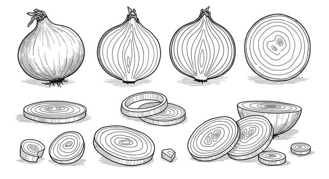 Fresh organic allium cepa vegetables displayed in different styles and cuts ready for culinary use vector