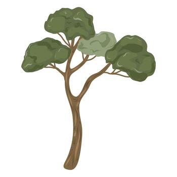 Hand drawn tree illustration. Nature element icon. Tree with broad canopy vector
