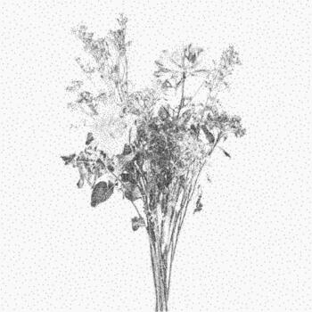 Bouquet of wild flowers. Noisy graphic element with faded grain speckle buildup and dry threshold. Worn ink texture blends with scattered dust and grit. vector