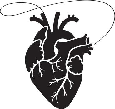 Black silhouette of a realistic human heart with a string vector