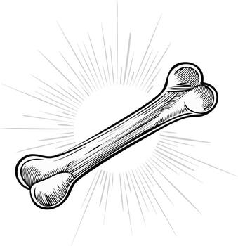 A bone bone bone bone bone bone bone bone bone bone bone bone bone bone bone bone bone bone vector