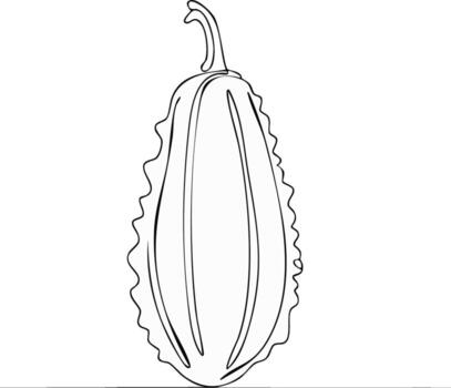 Minimalist line art illustration of a bitter gourd outline with distinct ridges and stem vector