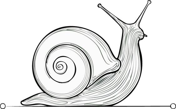 Simple elegant snail line drawing with detailed spiral shell and extended eyestalks vector