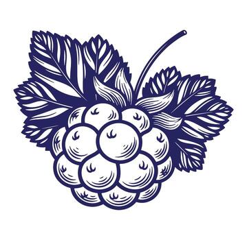 Detailed indigo ink illustration of a raspberry with leaves suitable for design elements vector