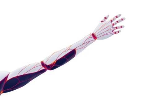 futurista robótico brazo con detallado mecánico articulaciones y pulcro blanco diseño, demostración avanzado tecnología y innovación en robótica y artificial inteligencia png