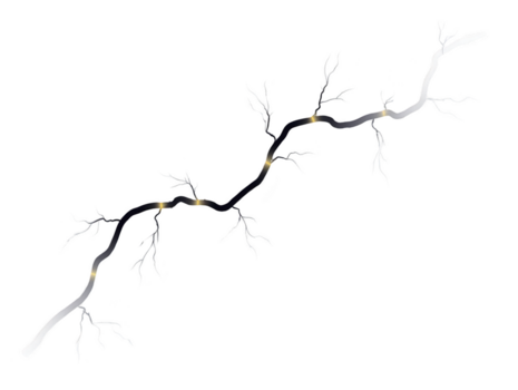 spoglio albero ramo con piccolo ramoscelli e delicato raggiante luci, isolato su trasparenza sfondo, la creazione di misterioso e delicato naturale elemento png