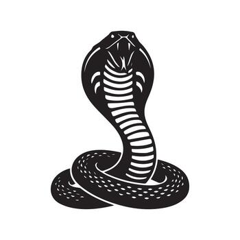 Powerful and striking cobra snake graphic illustration, depicting a venomous reptile with its hood spread, perfect for bold design elements and symbolic imagery vector
