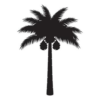 Silhouette of a Date Palm Tree with Hanging Dates and Foliage vector