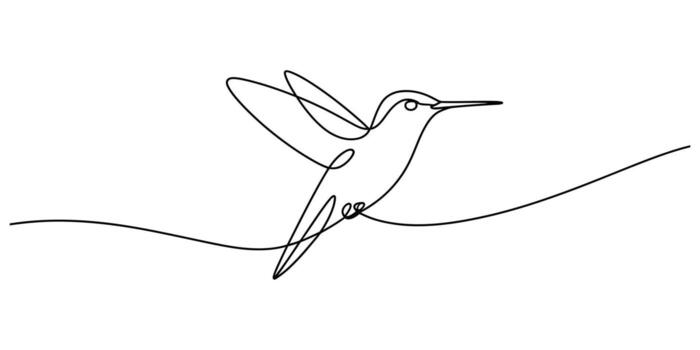 Elegant continuous line drawing of a hummingbird in flight vector