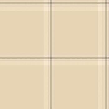 Styling tartan fabric textile, window seamless plaid. Overlay pattern check background texture in light and pastel colors. vector