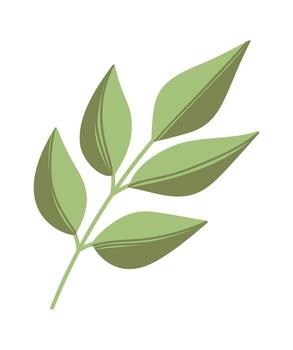 Tree plant stem spring element vector
