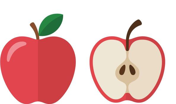 Whole Red Apple and Half Apple Showing Core with Seeds on White Background vector