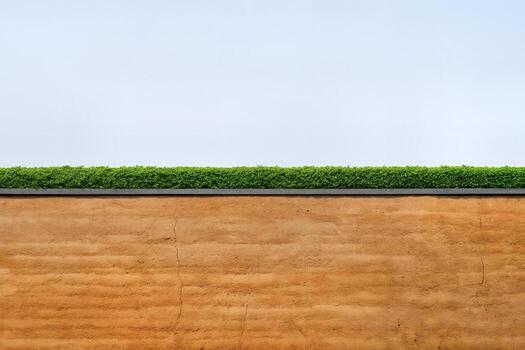 Skyline View of Textured Parapet with Greenery and Clear Sky in a Minimalist Outdoor Composition Captured from a Low Angle photo
