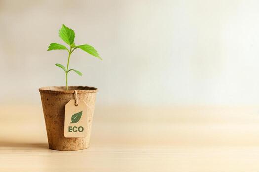 Eco Friendly Flower Pot With Small Green Plant Indoors On Light Wooden Surface Creating An Environmentally Conscious Atmosphere With Copy Space photo