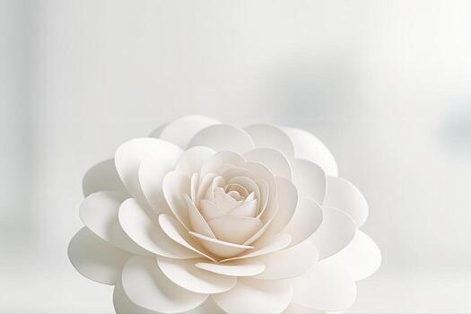 White Paper Bloom Closeup With Soft Lighting Creating Minimalistic Aesthetic on a Plain Background With Shallow Depth Of Field photo
