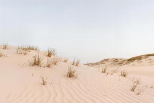 viento barrido arena dunas crear hermosa patrones debajo un claro cielo en un sereno Desierto paisaje con pequeño parches de escaso vegetación y suave natural ligero foto