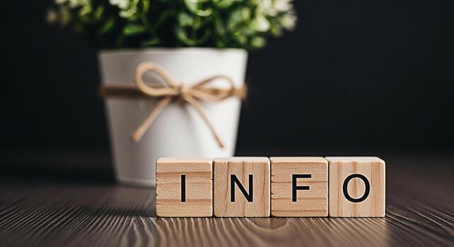 Wooden blocks spelling INFO on a dark wooden surface with a plant in the background conveying a message of knowledge and access to information in a modern minimalist setting photo