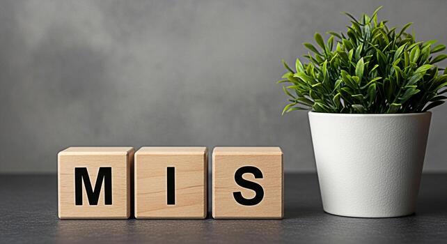 Wooden blocks spelling MIS on a gray table next to a potted plant conveying a sense of error mistake or imperfection in a minimalist and modern setting with a clean and simple aesthetic photo