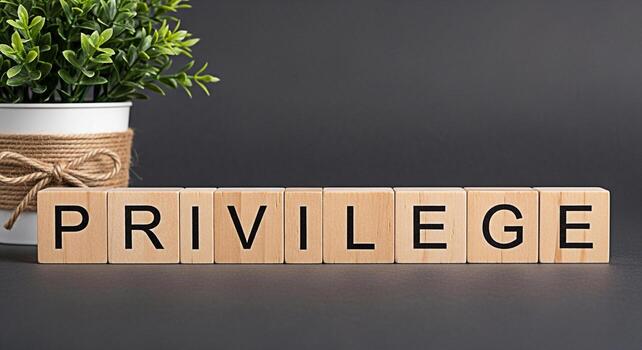 Wooden blocks spelling Privilege on a dark gray surface symbolizing social advantage and inequality with a small potted plant adding a touch of nature and balance to the stark concept photo