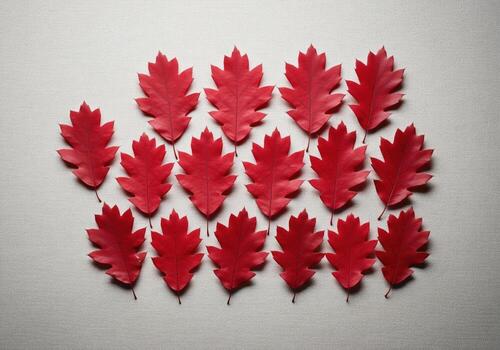 Meticulously arranged vibrant red oak leaves pattern on a light beige textured background photo