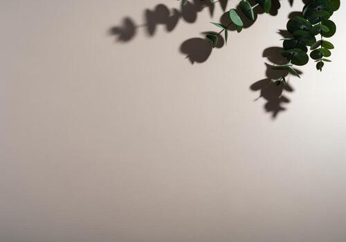 Eucalyptus branch casting soft shadow on a neutral beige background with copy space photo
