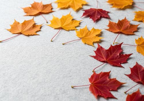 Colorful autumn maple leaves scattered on a light gray surface creating a seasonal frame photo
