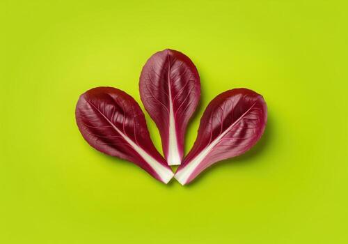 Fresh ruby red radicchio leaves cluster on a vibrant lime green studio background photo