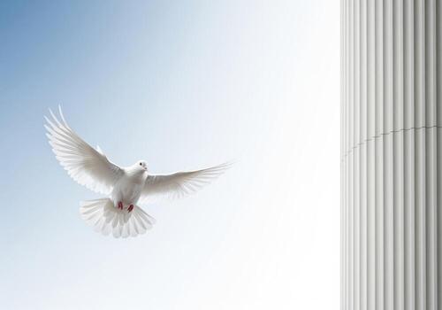 Pristine white dove in flight against a bright sky near a fluted architectural column photo