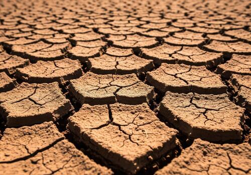 grave sequía condiciones visible en el intrincado modelo de agrietado seco barro textura foto