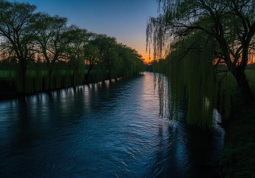 Tranquil river flowing through a natural landscape lined with weeping willow trees at dusk. photo