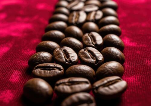 Macro view of glossy roasted coffee beans forming a vertical strip on red velvet texture photo