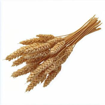 Harvested Wheat Bundle Displayed on a Plain Background Showcasing Natural Golden Hues photo