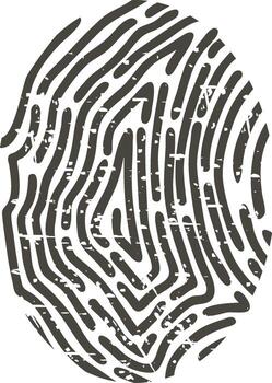 Distressed fingerprint, graphic representing identity and security vector