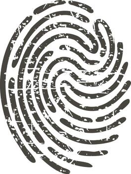 Grunge fingerprint representing identity, security, and biometric information vector