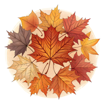 een verzameling van levendig herfst esdoorn- bladeren geregeld in een circulaire patroon geïsoleerd Aan transparant achtergrond png