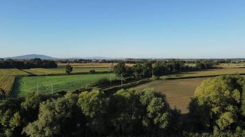aéreo ver de ferrocarril línea paso mediante verde agrícola campos con arboles y montañas en antecedentes video