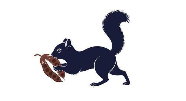 A stylized illustration features a dark squirrel holding an open brown seed pod, ready to consume the seeds within, on a clean white background. vector