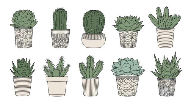 un colección de dibujado a mano en conserva suculentas y cactus con intrincado patrones en color neutro jardineras, aislado en un blanco antecedentes. vector