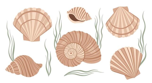 A collection of various seashells and green seaweed scattered on a white background. vector