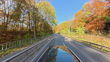 bred vinkel se från en bil körning genom ett höst skog på en solig dag, asfalt väg omgiven förbi träd med ljus gul och röd lövverk och skyddsräcken video