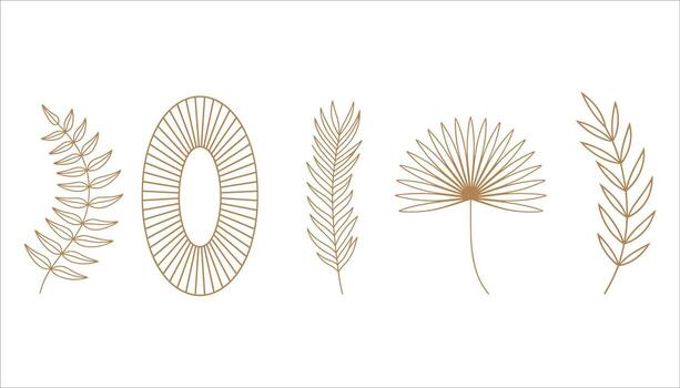 Collection of five abstract line art botanical elements in warm brown on white background vector